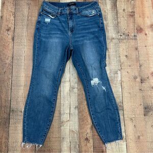 Judy Blue 14W Distressed Skinny Jeans with Embroidered‎ Dandelion Pocket Denim
